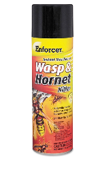 wasp spray